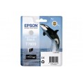 Просмотренный товар T7609 (C13T76094010) Картридж EPSON светло-серый для печати на SureColor / SC-P600 (25,9мл.)